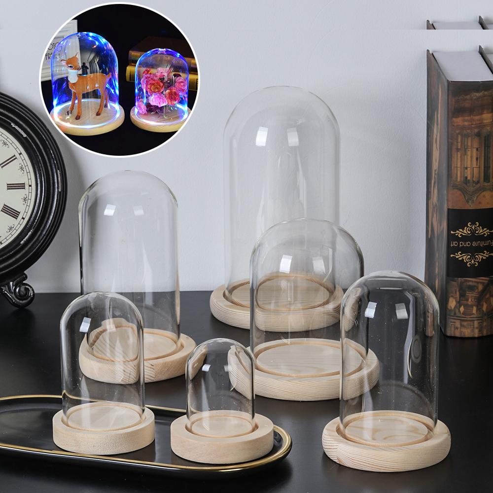 Fairy Lights Home Decor Terrar - Vase Decor ulasan dan harga