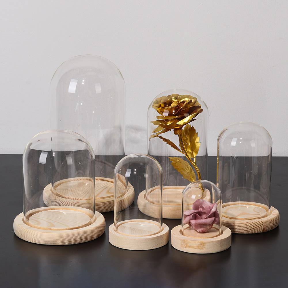 Fairy Lights Home Decor Terrar - Vase Decor ulasan dan harga